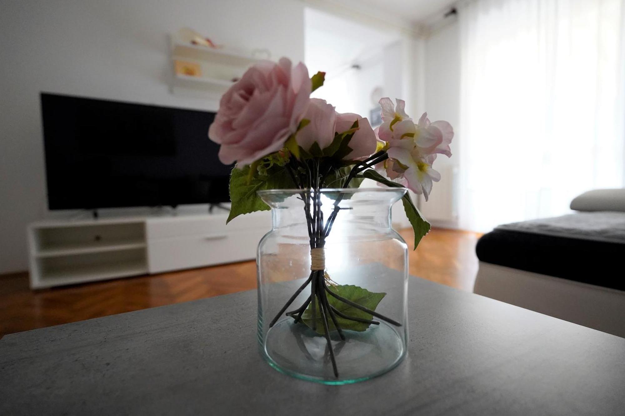 פאז'אנה Apartman Nada I מראה חיצוני תמונה